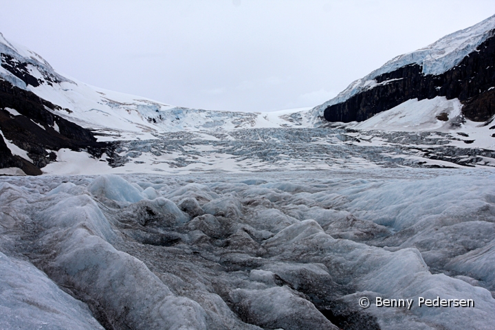 Columbia Icfield1.jpg - Columbia Icfield